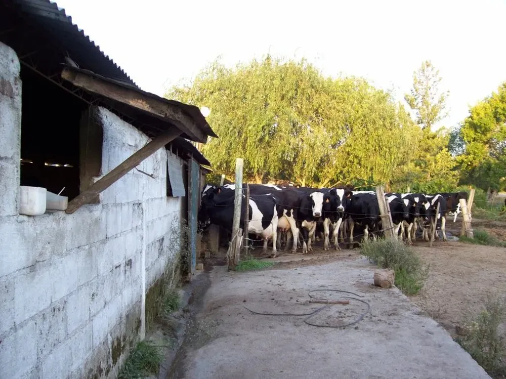 Tambo ubicado en Canelones.