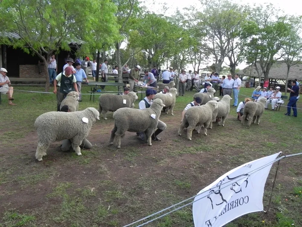 Los productores del centro del país podrán acceder a muy buena genética