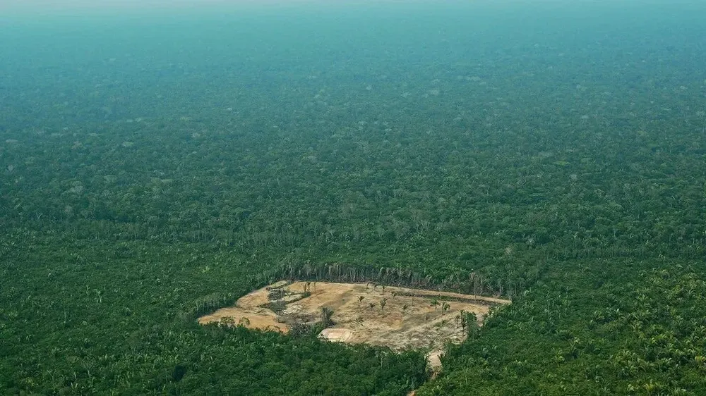 Deforestación en Amazonia