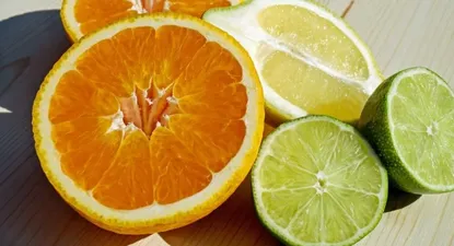 Precio de exportación de cítricos en su mayor nivel en 11 años