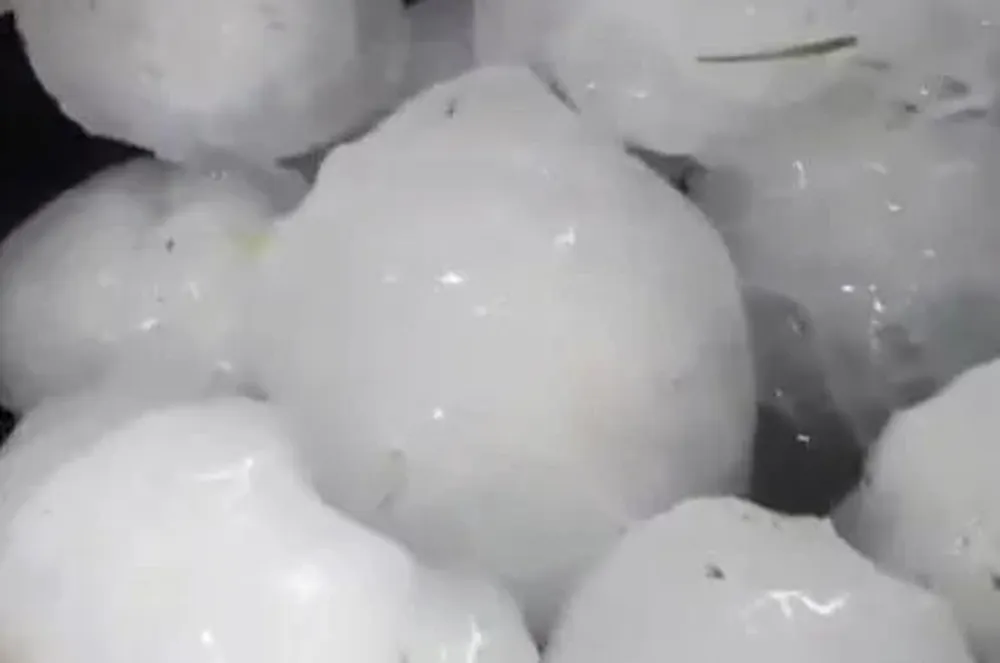 Algunas de las piedras de granizo que cayeron en el norte de la Provincia de Buenos Aires