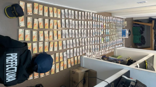 Se incautaron 205 millones de pesos, 425 mil dólares, 4.600 euros y 112 mil reales.