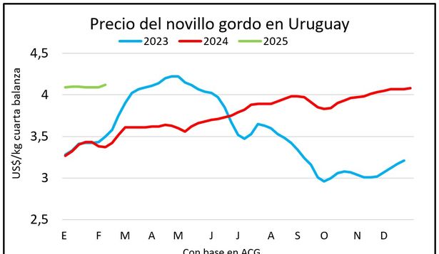 Ganado gordo en un momento de precios tonificados.