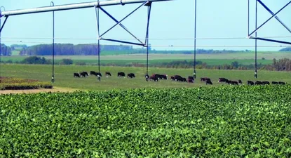 Economía uruguaya cerró el año con crecimiento débil, según Ceres