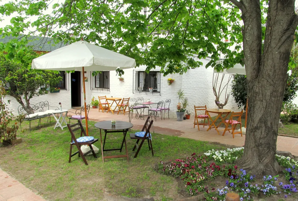 Mesas al aire libre, a la sombra de un frondoso árbol de tilo