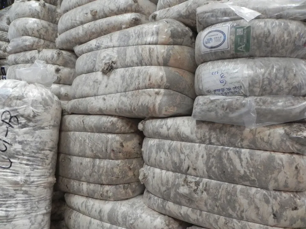 Las lanas finas se valorizan mejor.