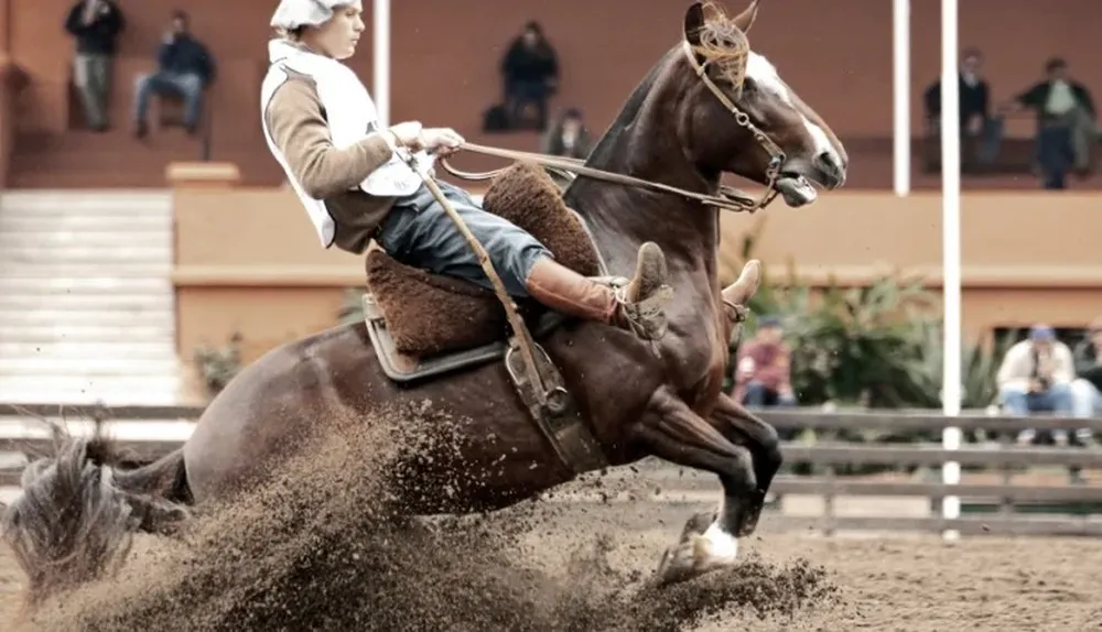 Ilusionada Constancia 100 fue el Criollo uruguayo de mejor puntaje
