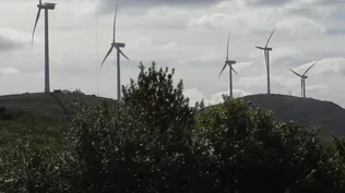 Uruguay es cuarto en mayor participación de energía eólica en la matriz eléctrica