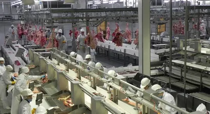 Controles en laboratorios, campos y frigoríficos