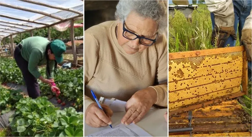 La Digegra le otorgó a un grupo de granjeras fondos para hacer inversiones y mejorar la producción.