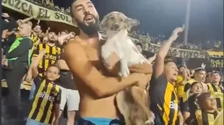 El hincha y el perro