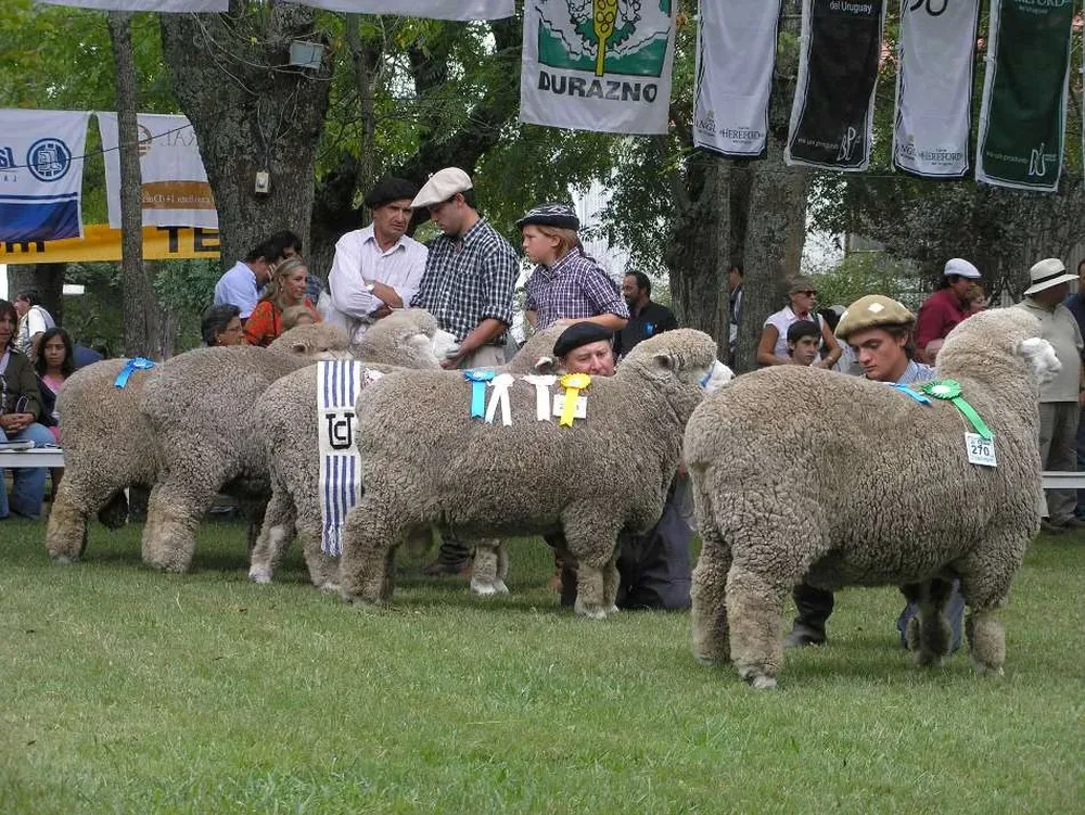 La Expo Durazno es conocida como “la antesala del Prado”