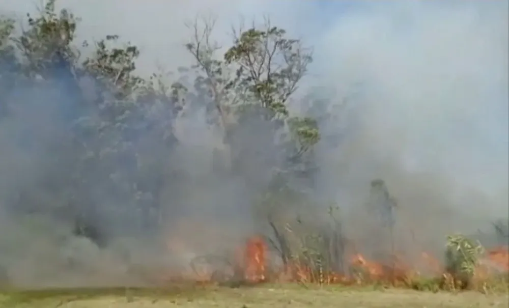 El incendio se desató sobre las 17 horas de este domingo; Bomberos ya trabaja en la zona
