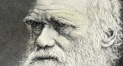 El Observador | 1702252312919.webp