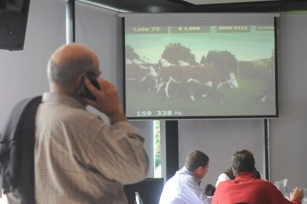 Está disponible el sistema de preoferta para obtener descuentos en los gastos