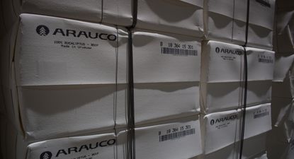 Celulosa: se afianza en lo más alto del conjunto de bienes exportadores desde Uruguay, con US$ 1.888 millones en lo que va de 2024.