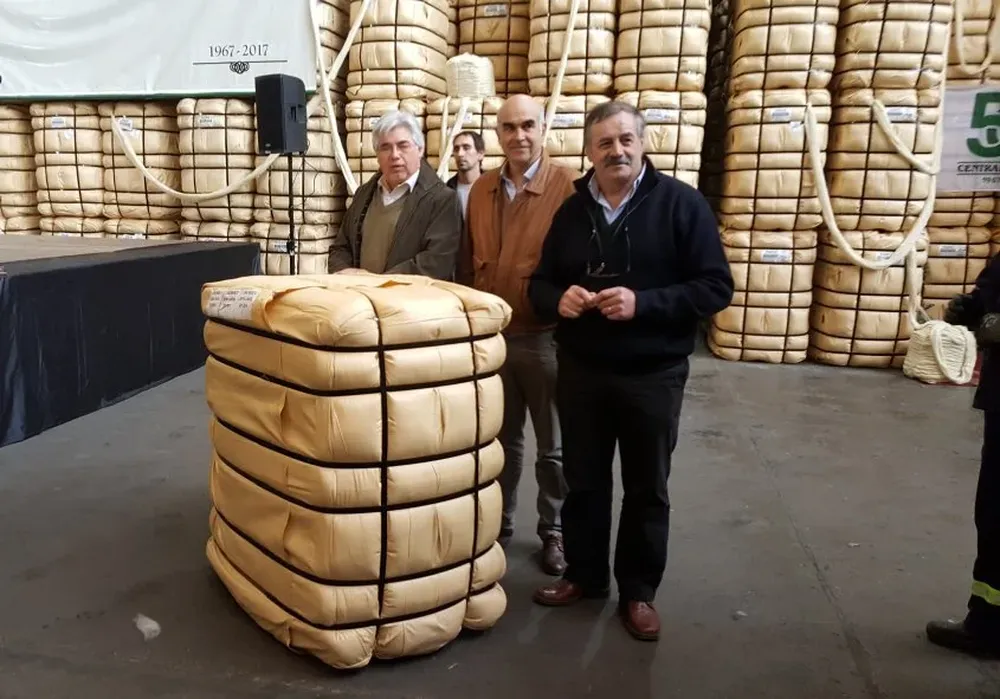 Tabaré Aguerre, Alejando Gambetta y Álvaro Fossati en la apertura de la zafra lanera