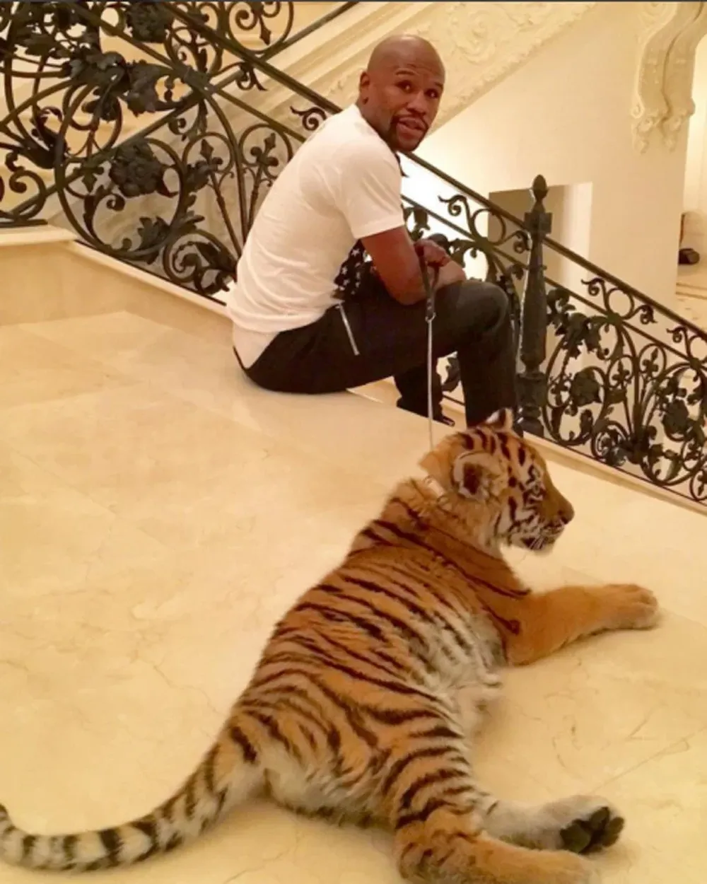 Mayweather con su tigre