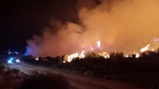 La ola de calor provocó incendios en varias zonas de España