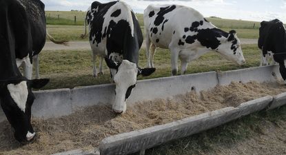 El Niño: ya hubo impactos adversos en Uruguay y se tema seguirán existiendo a corto y mediano plazo.