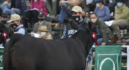 El Observador | _LCM5633.webp