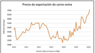 Carne ovina: nuevos indicadores positivos.