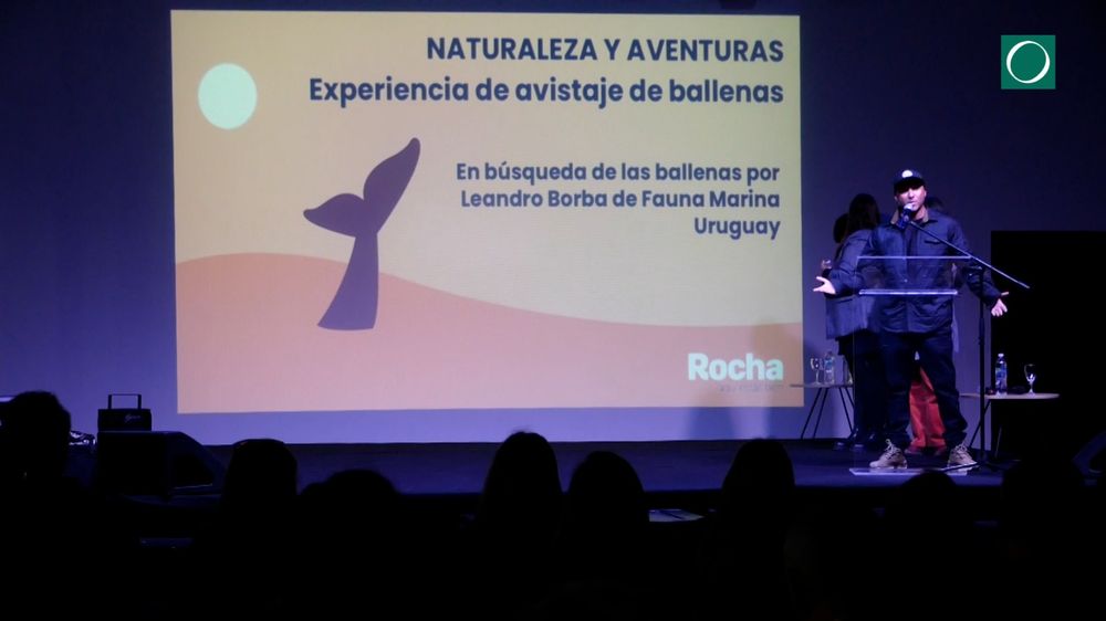 WhatsApp Image 2024-07-24 at 16.08.51.jpeg