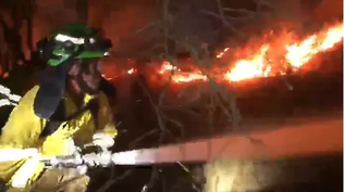 Bomberos trabajan para controlar el incendio en Andújar.