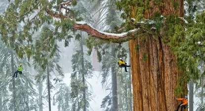 El Observador | 0000347615.webp