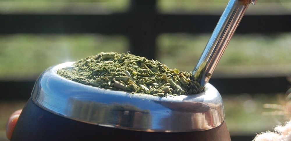 Yerba mate