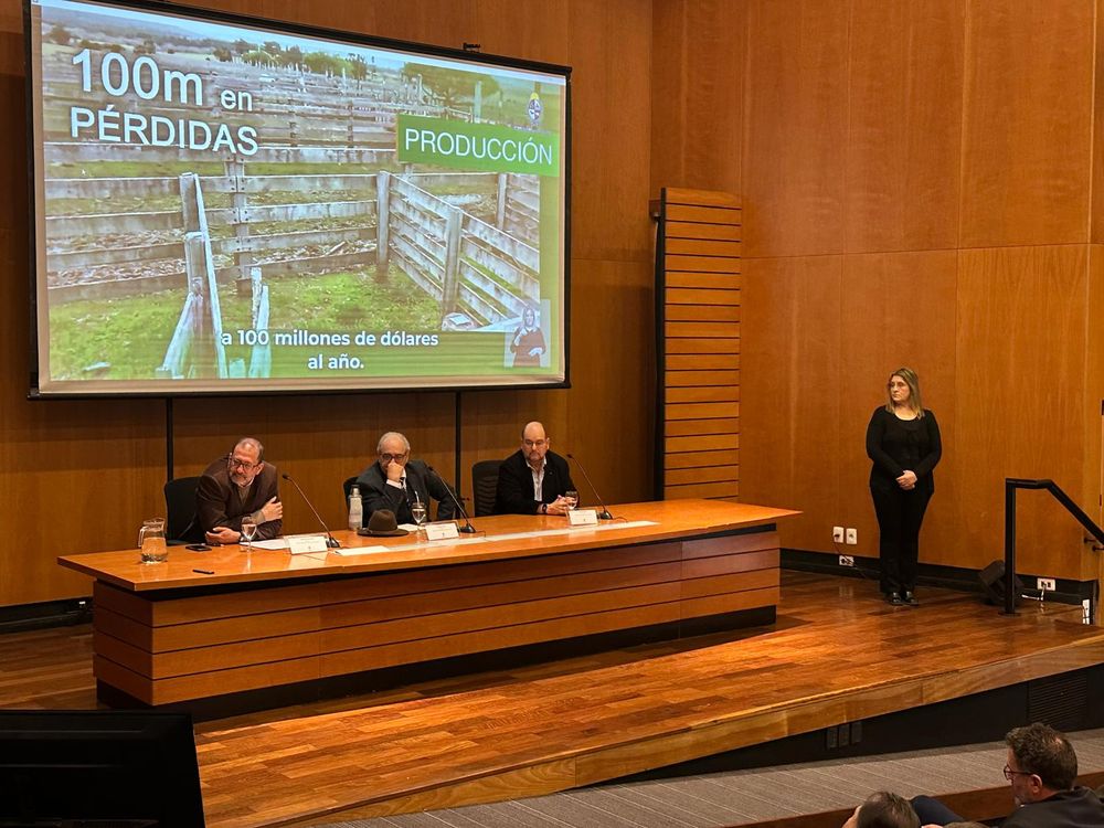 Garrapata: el daño es enorme y el gobierno prioriza un plan para minimizar su impacto en la ganadería.