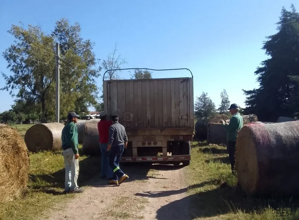 El fardo recibido es de muy buena calidad.