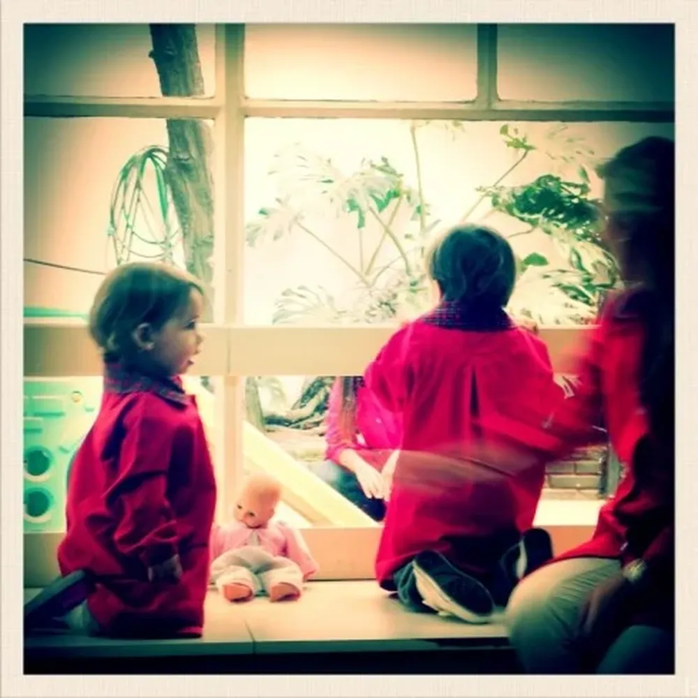 ¿Enviar o no a los niños pequeños al jardín de infantes?