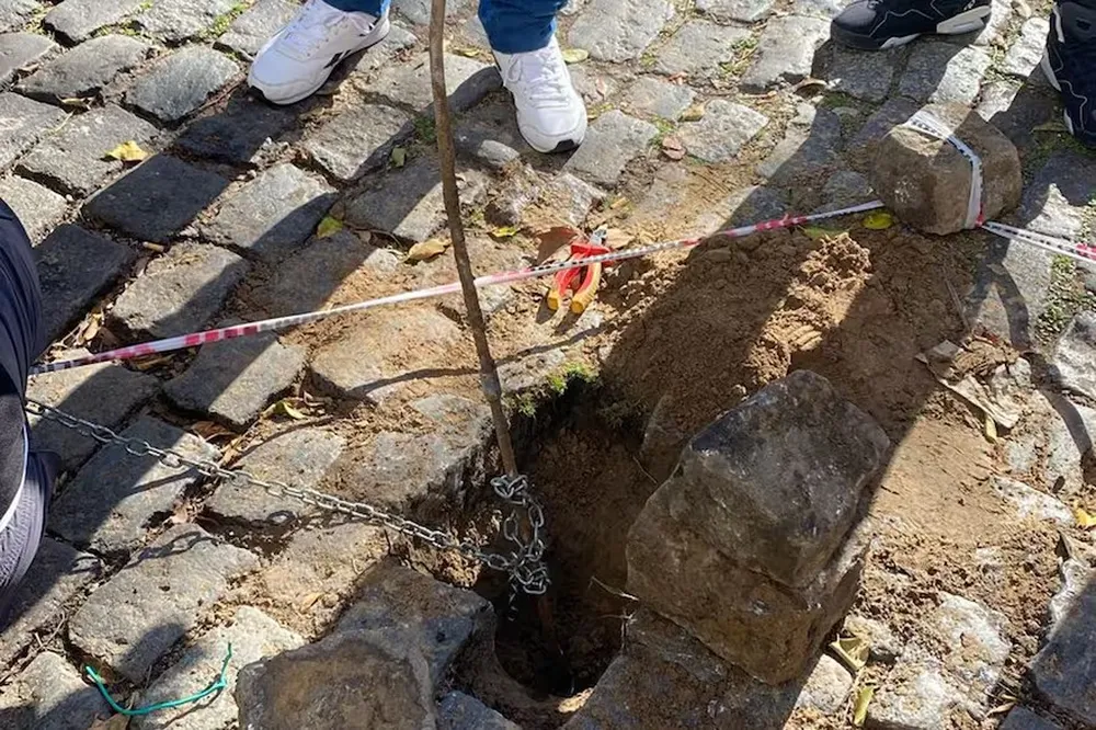 La varilla de hierro