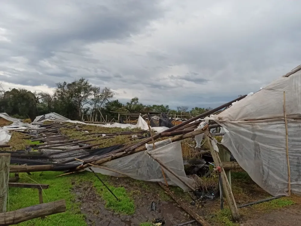 Destrozos en Paysandú