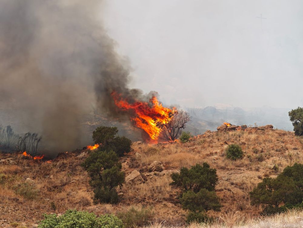 El incendio en Monte Coronado, en Málaga.&nbsp;