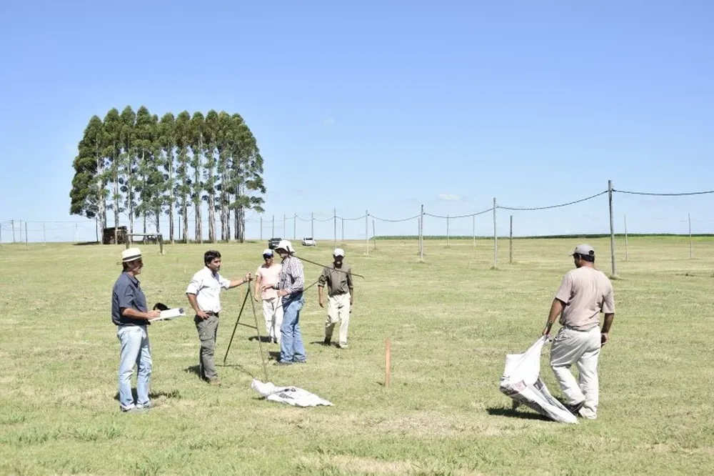 Los directivos Carlos Valdomir, Ignacio Riet y Alejandro González con funcionarios marcando stands.