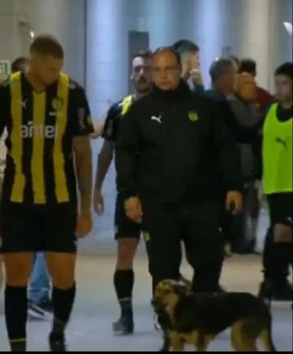 El perro en el vestuario del Campeón del Siglo