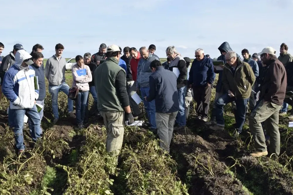 Concurrieron más de 60 productores de todo el país.