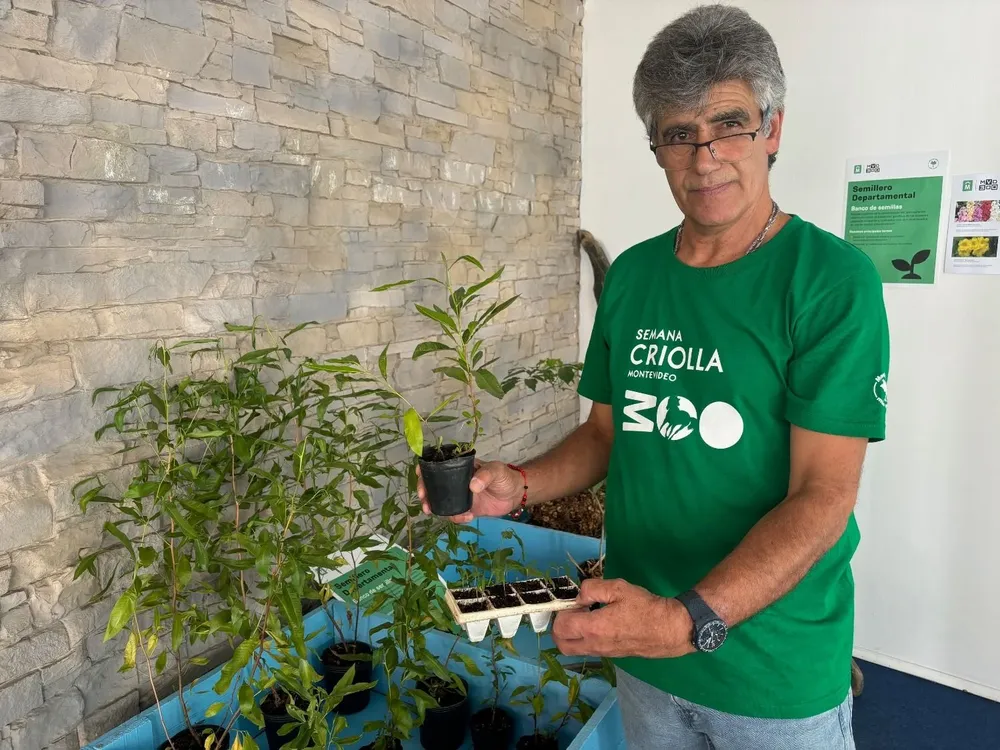 Julio Rodríguez, una almaciguera casera y plantas ya con un buen porte.