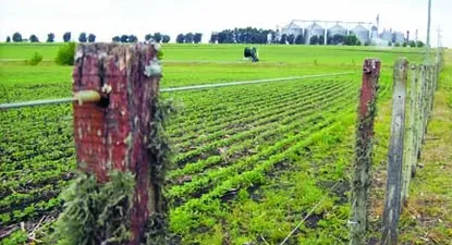 Gobierno quiere prohibir que Estados extranjeros compren tierras uruguayas