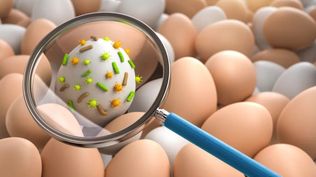 Alerta de huevos contaminados con salmonela en Estados Unidos: la lista de marcas y tiendas donde rige el retiro urgente de las góndolas