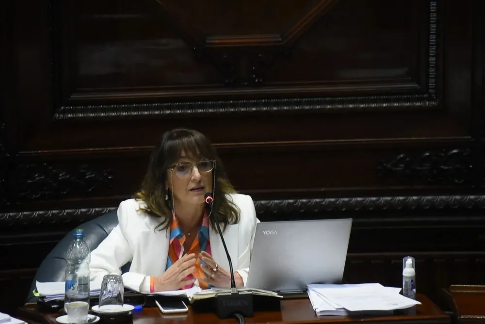 Carmen Asiaín en el Senado