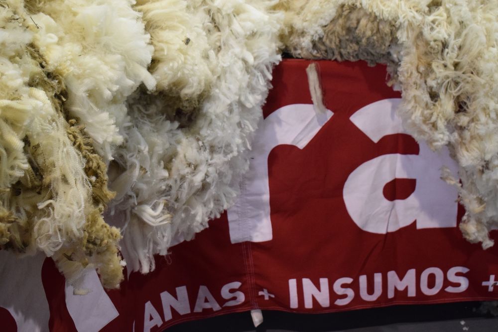 Mercado lanero, nuevo reporte del SUL.