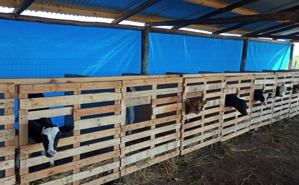 Disponer de buenas guacheras, una herramienta clave.