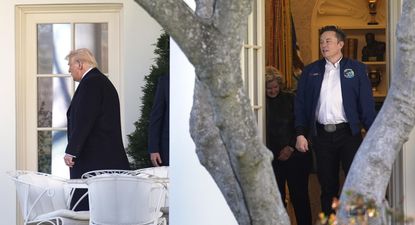 ¿Inminente divorcio político? Aseguran que Trump le dice a su entorno que Musk se irá pronto del gobierno