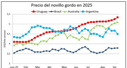 Mercado ganadero: un gráfico que tiene a los productores entusiasmados.