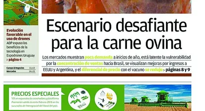 El Observador | 0014360982.webp