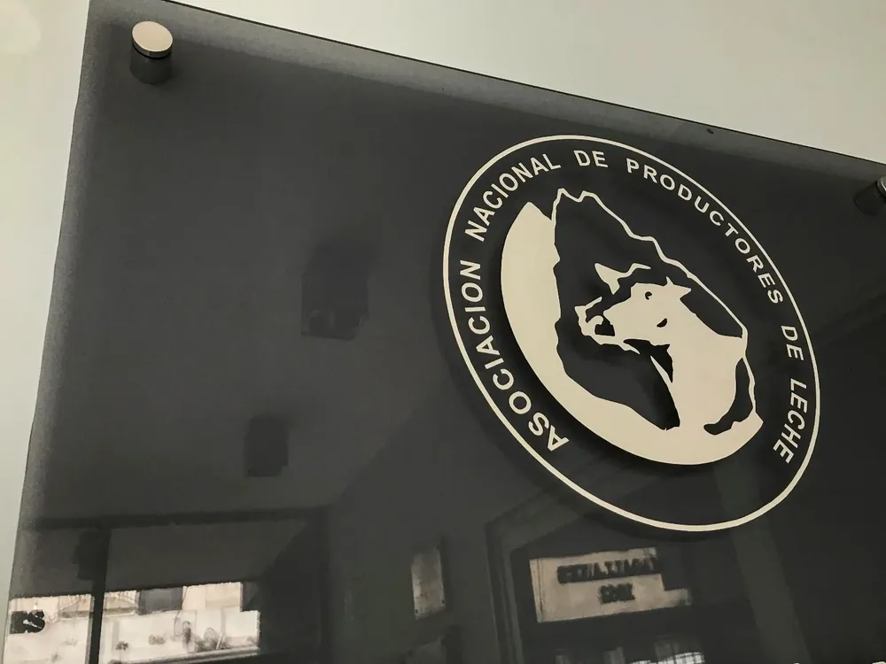 Las elecciones en la ANPL aún no tienen una fecha de realización.