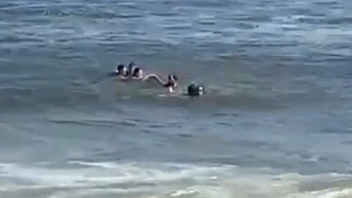 Imagen noticia completa